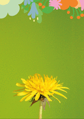 Fleur jaune sous le ciel estival